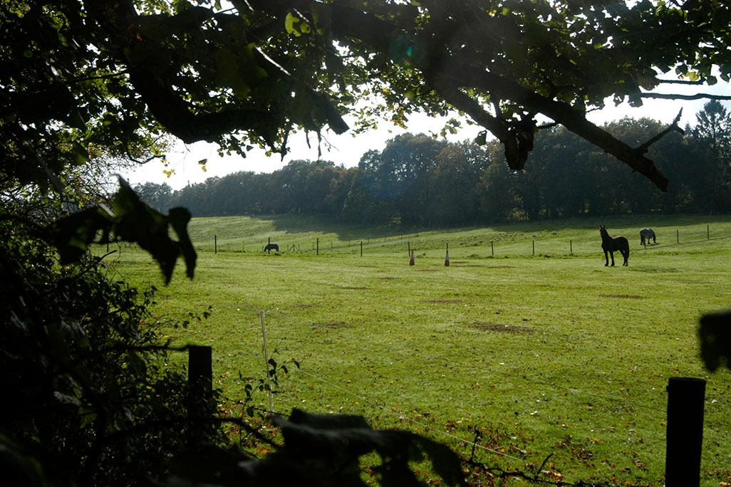 Fields near Warren Lodge
